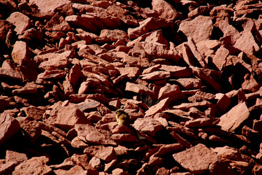 Similar image 21436417