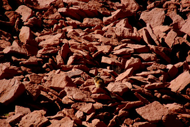 Similar image 21436615