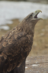 Similar image 21478708