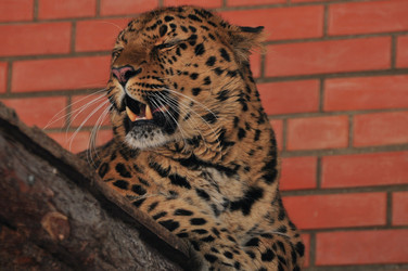 Similar image 21478709