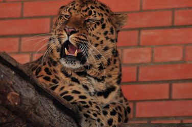 Similar image 21478710