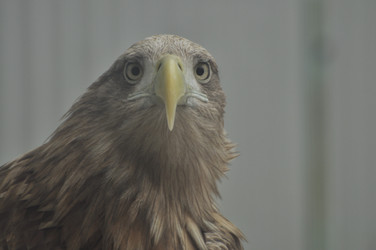 Similar image 21478712