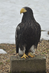 Similar image 21480708