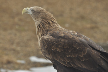 Similar image 21480711