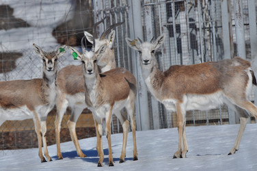 Similar image 21436616