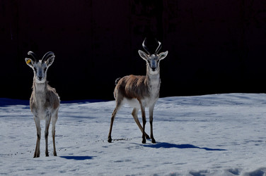 Similar image 21436617