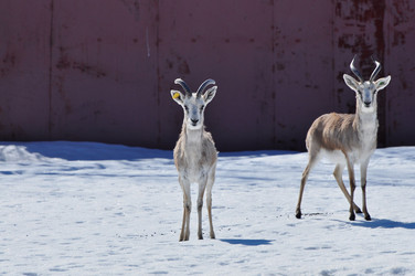 Similar image 21436620