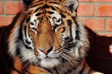 Similar image 21462998