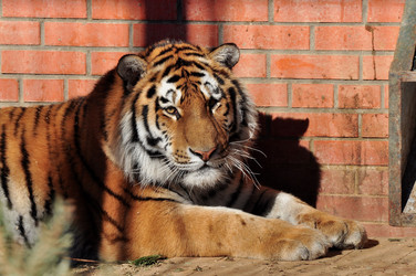 Similar image 21478715