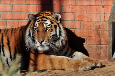 Similar image 21478716