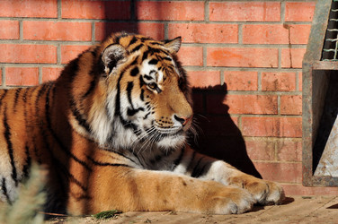 Similar image 21478717