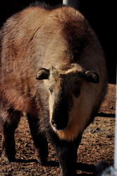 Similar image 21478718