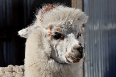 Similar image 21478719