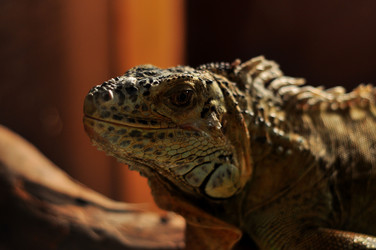 Similar image 21478720