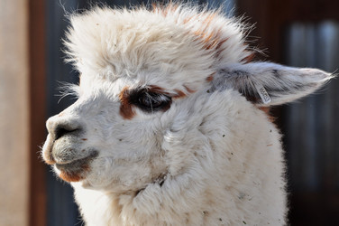 Similar image 21478721