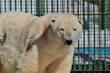 Similar image 21478723