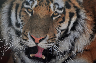 Similar image 21480714