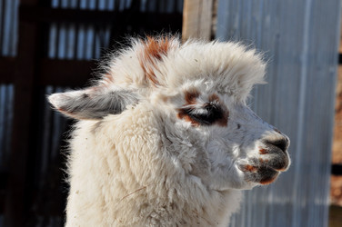 Similar image 21480715