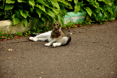 Similar image 21433508