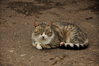 Similar image 21435871