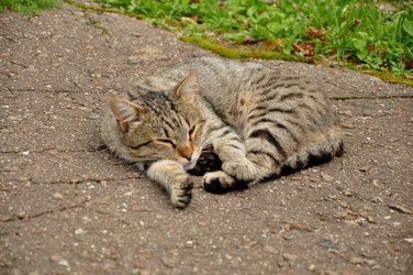 Similar image 21436420