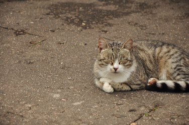 Similar image 21436422