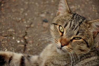 Similar image 21436423