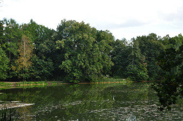 Similar image 21444722