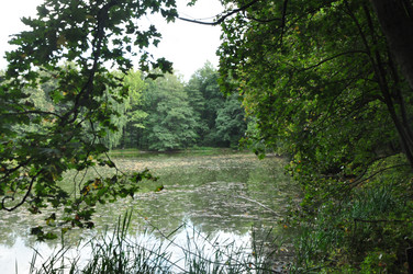 Similar image 21478725