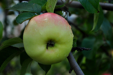 Similar image 21435919