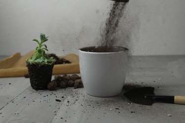 Similar image 21469404