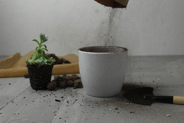 Similar image 21469405