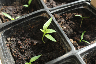 Similar image 21469812