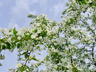 Similar image 21471634