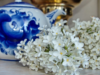 Similar image 21471636