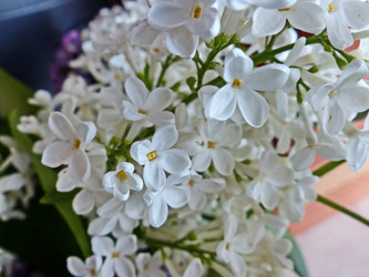 Similar image 21471637