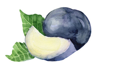 Similar image 21474608