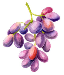 Similar image 21474620