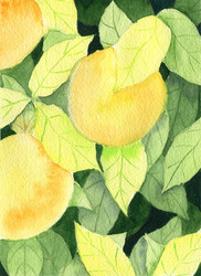 Similar image 21474635