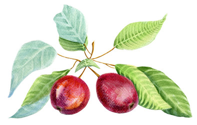 Similar image 21474657