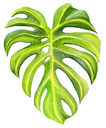 Similar image 21471652