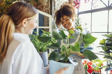 Similar image 21464345