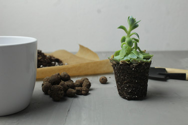 Similar image 21469410