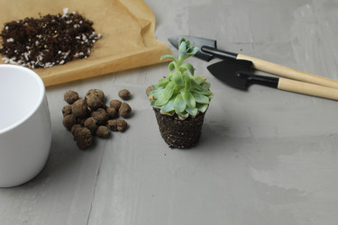 Similar image 21469411