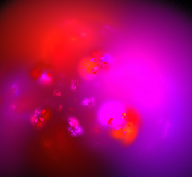 Similar image 21447506