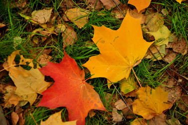 Similar image 21433514