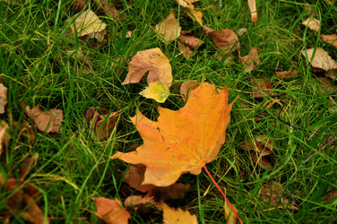 Similar image 21433515