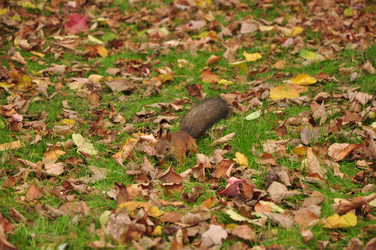 Similar image 21433516