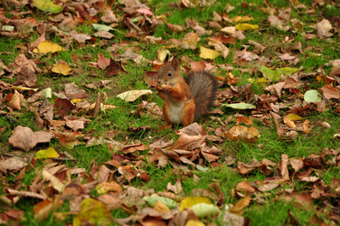 Similar image 21435875