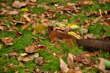 Similar image 21435876